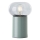 Brilliant - Lampada da tavolo KNUT 1xE27/25W/230V verde/limpido