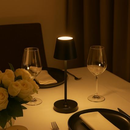 Brilliant - Lampada da tavolo da esterno LED ricaricabile dimmerabile a sfioramento ELORA LED/2,5W/5V 2700K 2600 mAh IP44 nera