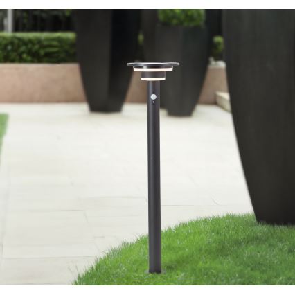 Brilliant - Lampada solare LED con sensore GARVINA LED/3W/3,7V 85 cm IP44 nero