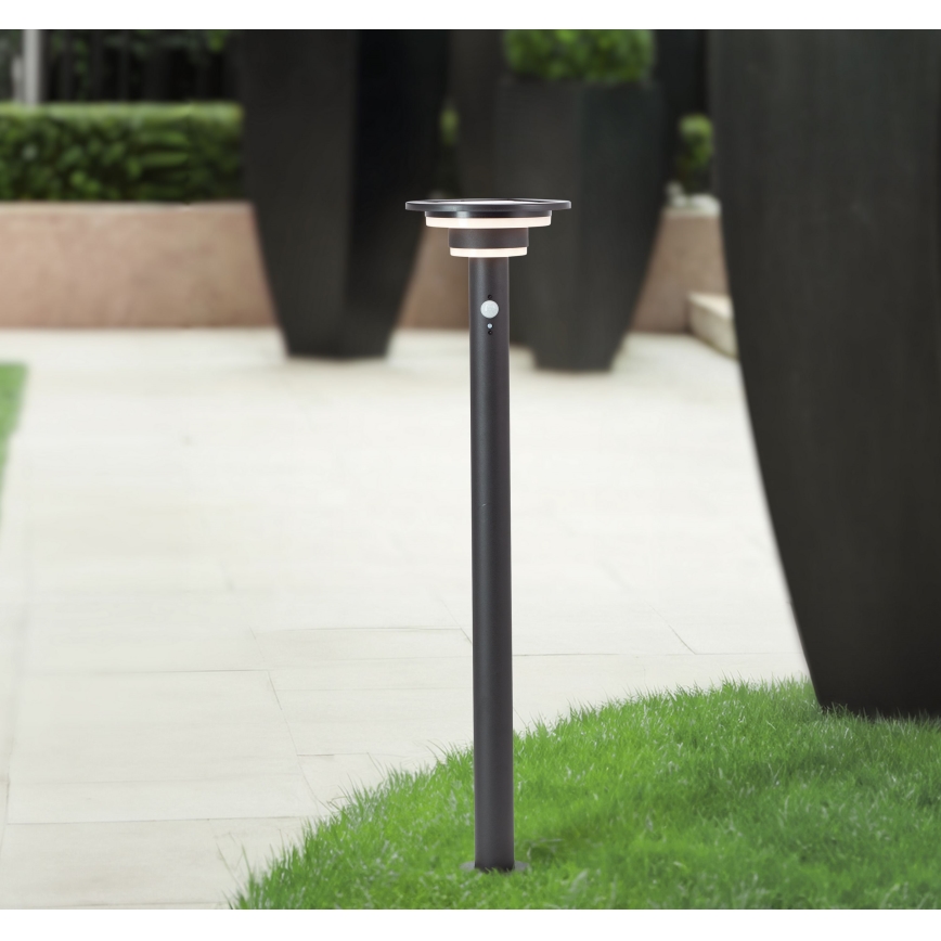 Brilliant - Lampada solare LED con sensore GARVINA LED/3W/3,7V 85 cm IP44 nero