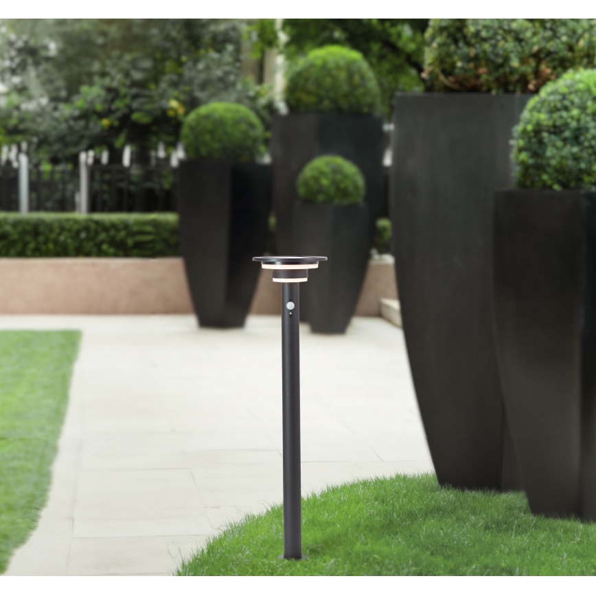 Brilliant - Lampada solare LED con sensore GARVINA LED/3W/3,7V 85 cm IP44 nero