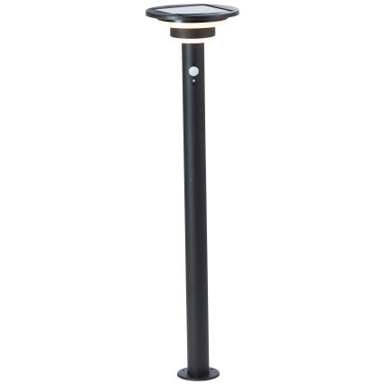 Brilliant - Lampada solare LED con sensore GARVINA LED/3W/3,7V 85 cm IP44 nero