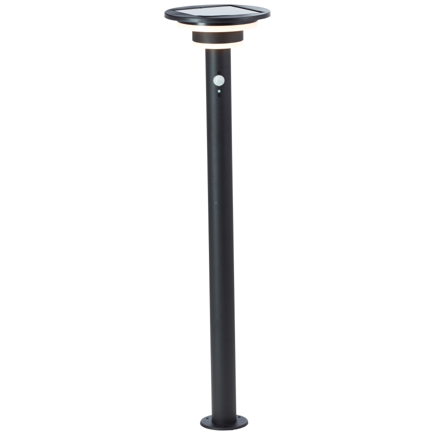Brilliant - Lampada solare LED con sensore GARVINA LED/3W/3,7V 85 cm IP44 nero