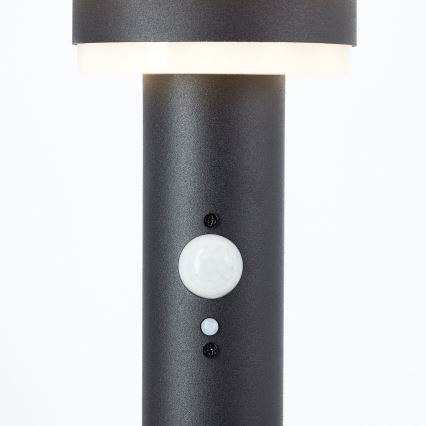 Brilliant - Lampada solare LED con sensore GARVINA LED/3W/3,7V 85 cm IP44 nero