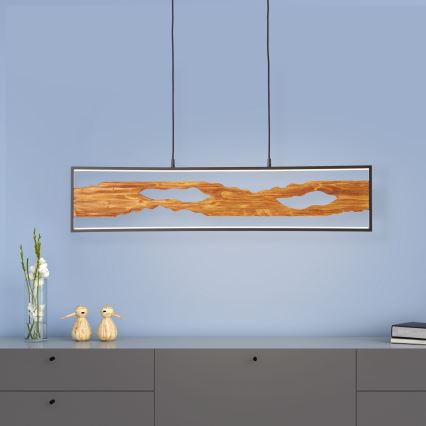 Brilliant - Lampadario LED a sospensione con filo CHAUMONT LED/20W/230V pino - FSC certificato