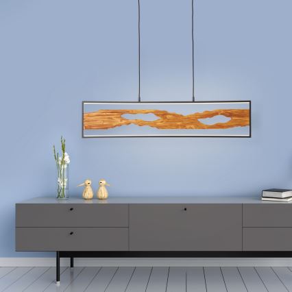 Brilliant - Lampadario LED a sospensione con filo CHAUMONT LED/20W/230V pino - FSC certificato