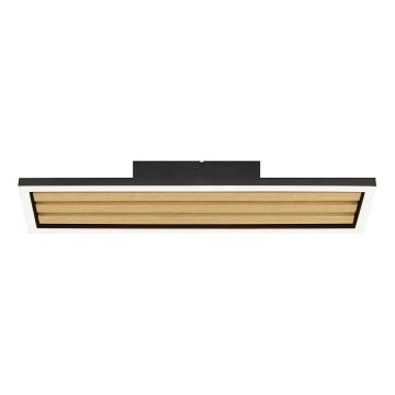 Brilliant - LED-dimmbare Deckenleuchte CALMA LED/15W/230V schwarz