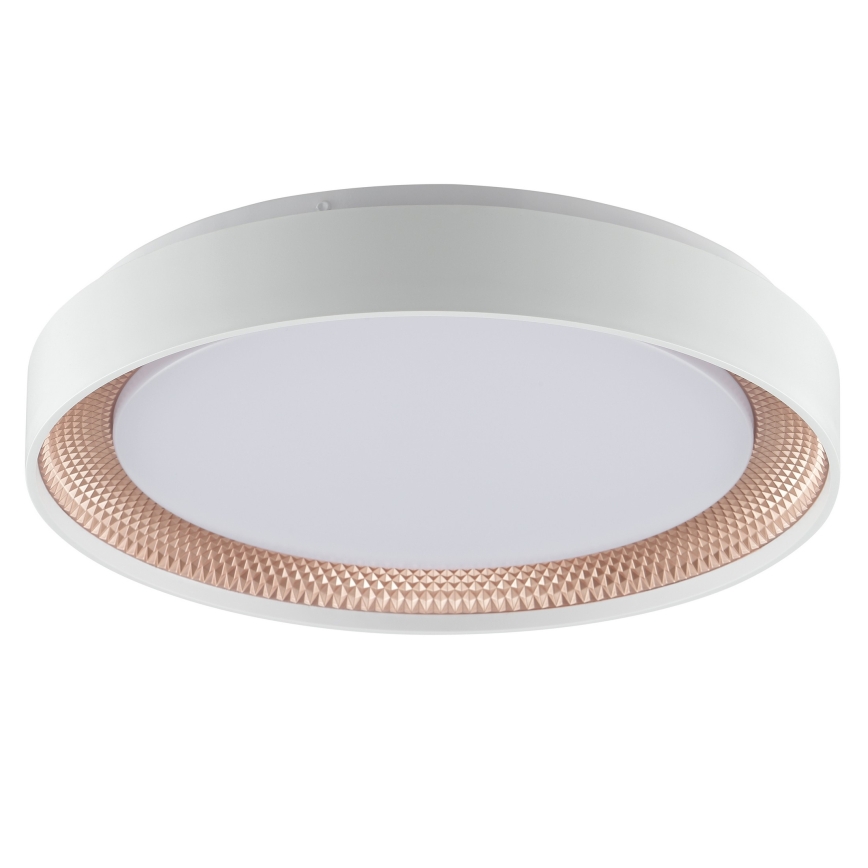 Brilliant - dimmbare LED-Deckenleuchte WALDO LED/24W/230V 3000-6500K Ø 38,5 cm weiß/roségold + Fernbedienung