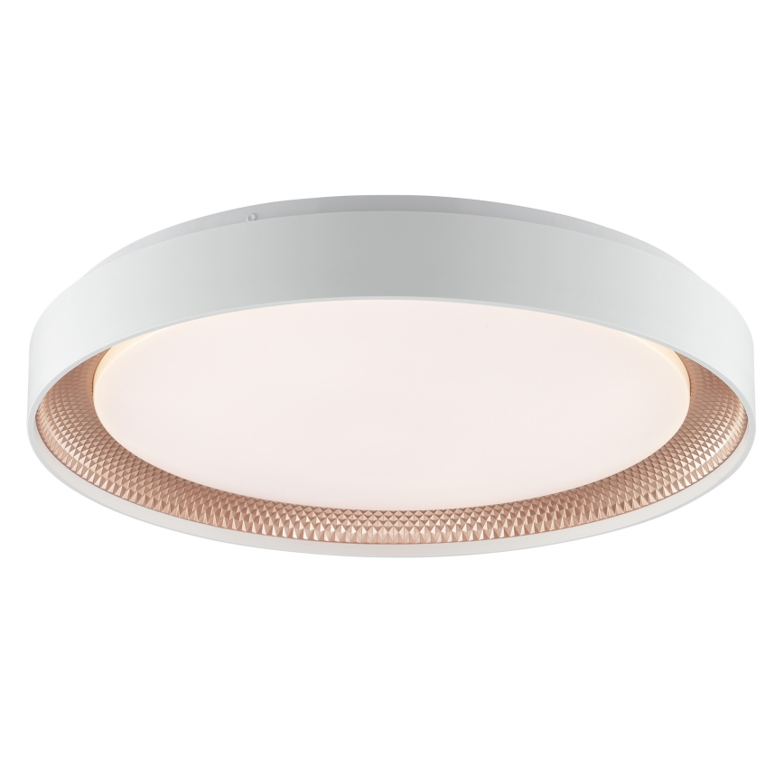 Brilliant - Dimmbare LED-Deckenleuchte WALDO LED/36W/230V 3000-6500K Ø 48,5 cm weiß/roségold + Fernbedienung