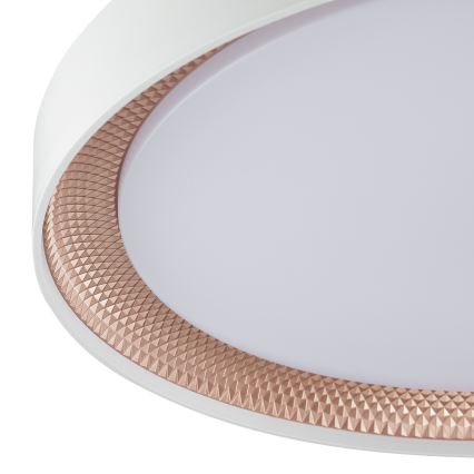 Brilliant - Dimmbare LED-Deckenleuchte WALDO LED/36W/230V 3000-6500K Ø 48,5 cm weiß/roségold + Fernbedienung