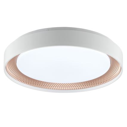 Brilliant - Plafoniera dimmerabile LED WALDO LED/24W/230V 3000-6500K Ø 38,5 cm bianco/oro rosa + telecomando