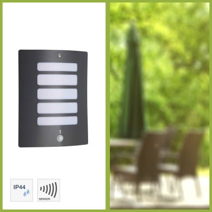 Brilliant - Applique murale extérieure avec détecteur de mouvement et détecteur crépusculaire TODD 1xE27/60W/230V IP44 anthracite