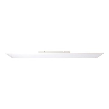 Brilliant - Pannello LED CHARLA LED/40W/230V 29,5x119,5 cm 2700K
