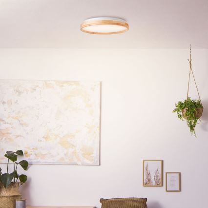 Brilliant - Plafoniera LED ALSON LED/26W/230V 3000/4500K diametro 39,5 cm gomma fig - FSC certificato
