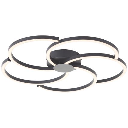 Brilliant - Plafoniera LED dimmerabile FICO LED/32W/230V diametro 57 cm nero