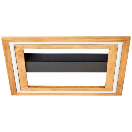 Brilliant - Plafoniera LED dimmerabile RHEA LED/24W/230V 3000K 45x45 cm