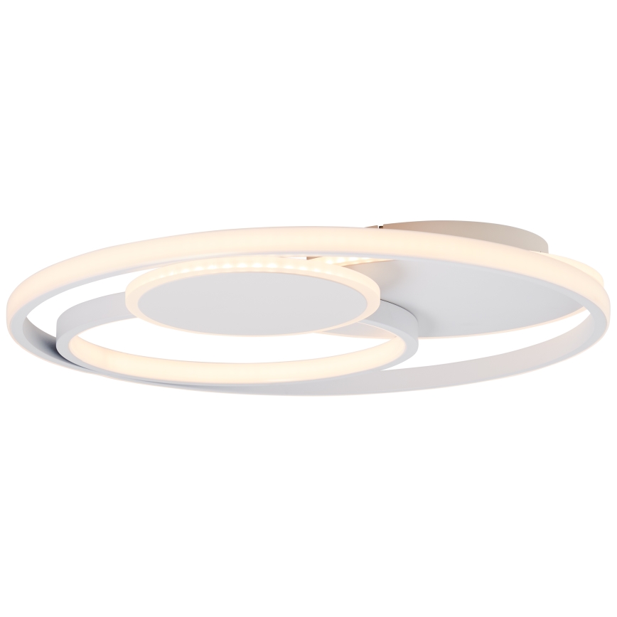 Brilliant - Plafoniera LED dimmerabile RUNDA LED/50W/230V 3000-6500K bianco + telecomando