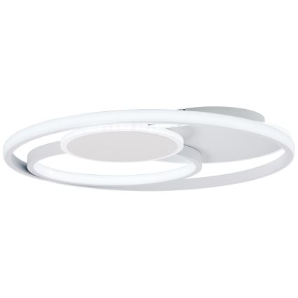 Brilliant - Plafoniera LED dimmerabile RUNDA LED/50W/230V 3000-6500K bianco + telecomando