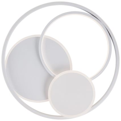 Brilliant - Plafoniera LED dimmerabile RUNDA LED/50W/230V 3000-6500K bianco + telecomando