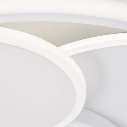 Brilliant - Plafoniera LED dimmerabile RUNDA LED/50W/230V 3000-6500K bianco + telecomando