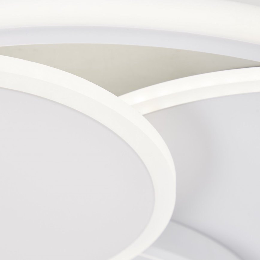 Brilliant - Plafoniera LED dimmerabile RUNDA LED/50W/230V 3000-6500K bianco + telecomando