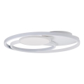 Brilliant - Plafoniera LED dimmerabile RUNDA LED/50W/230V 3000-6500K bianco + telecomando
