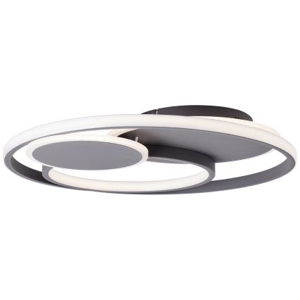 Brilliant - Plafoniera LED dimmerabile RUNDA LED/50W/230V 3000-6500K nero + telecomando