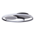 Brilliant - Plafoniera LED dimmerabile RUNDA LED/50W/230V 3000-6500K nero + telecomando