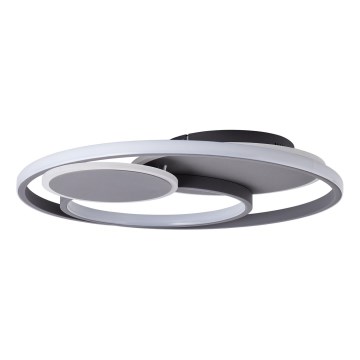 Brilliant - Plafoniera LED dimmerabile RUNDA LED/50W/230V 3000-6500K nero + telecomando