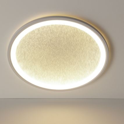 Brilliant - Plafoniera LED dimmerabile TANIDA LED/31W/230V 3000-6500K + telecomando