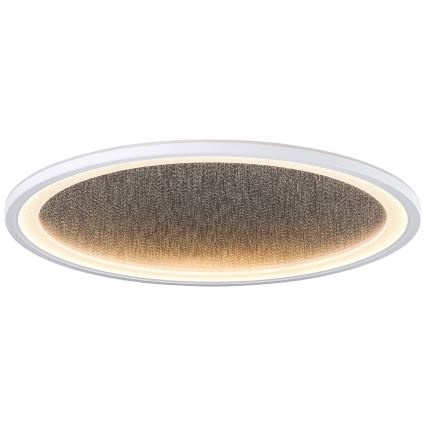 Brilliant - Plafoniera LED dimmerabile TANIDA LED/31W/230V 3000-6500K + telecomando