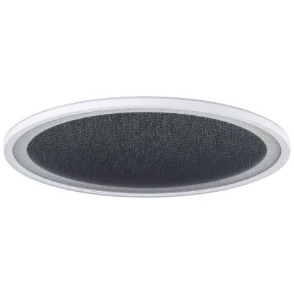 Brilliant - Plafoniera LED dimmerabile TANIDA LED/31W/230V 3000-6500K + telecomando
