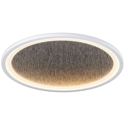 Brilliant - Plafoniera LED dimmerabile TANIDA LED/31W/230V 3000-6500K + telecomando
