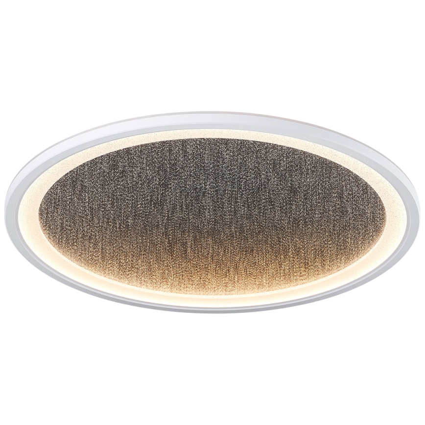 Brilliant - Plafoniera LED dimmerabile TANIDA LED/31W/230V 3000-6500K + telecomando