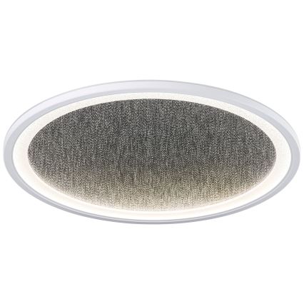 Brilliant - Plafoniera LED dimmerabile TANIDA LED/31W/230V 3000-6500K + telecomando