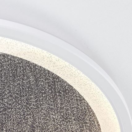 Brilliant - Plafoniera LED dimmerabile TANIDA LED/31W/230V 3000-6500K + telecomando
