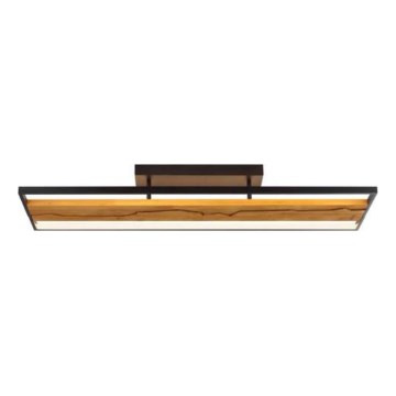 Brilliant - Plafoniera LED dimmerabile THUNDER LED/42W/230V pino