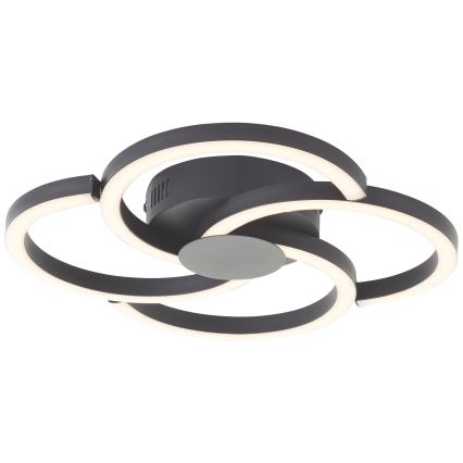 Brilliant - Plafoniera LED FICO LED/22W/230V diametro 34 cm nero