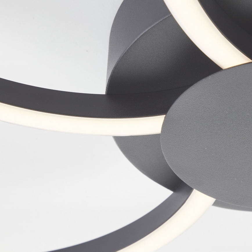Brilliant - Plafoniera LED dimmerabile FICO LED/32W/230V 3000-6500K diametro 65 cm nero + telecomando