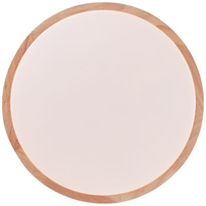 Brilliant - Plafoniera LED SLIMLINE LED/14W/230V 3000/4000K gomma fig - FSC certificato