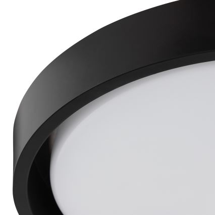 Brilliant - Plafoniera LED SONORA LED/12W/230V 3000K Ø 31 cm nero