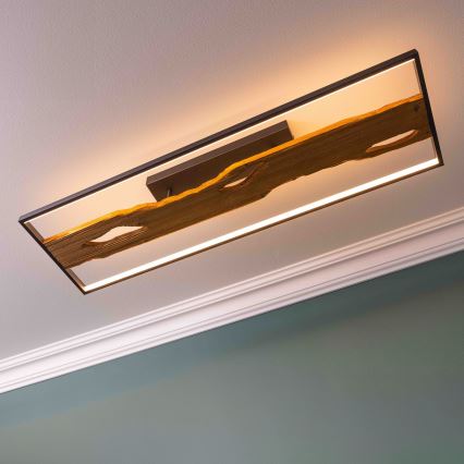Brilliant - Plafonnier à intensité variable CHAUMONT LED/48W/230V figuier caoutchouc - FSC certifié