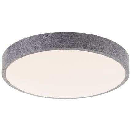 Brilliant - Plafonnier à intensité variable FILIZ LED/24W/230V d. 38,5 cm gris