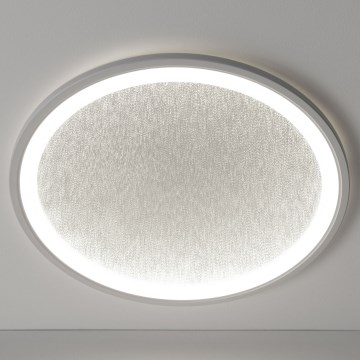 Brilliant - Plafonnier à intensité variable TANIDA LED/31W/230V 3000-6500K + Télécommande