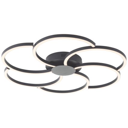 Brilliant - Plafonnier à intensité variable FICO LED/32W/230V 3000-6500K d. 65 cm noir + télécommande