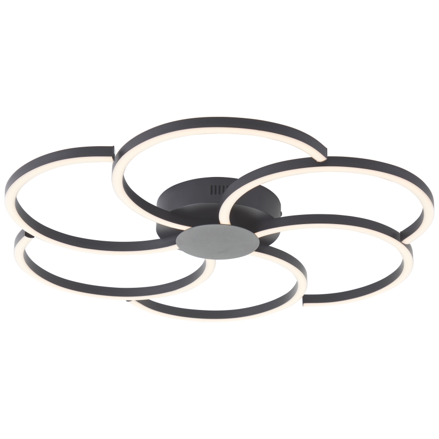 Brilliant - Plafonnier à intensité variable FICO LED/32W/230V 3000-6500K d. 65 cm noir + télécommande