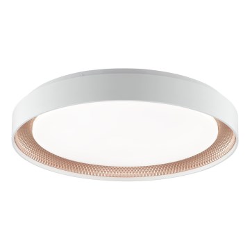 Brilliant - Plafonnier LED dimmable WALDO LED/36W/230V 3000-6500K Ø 48,5 cm blanc/or rose + télécommande