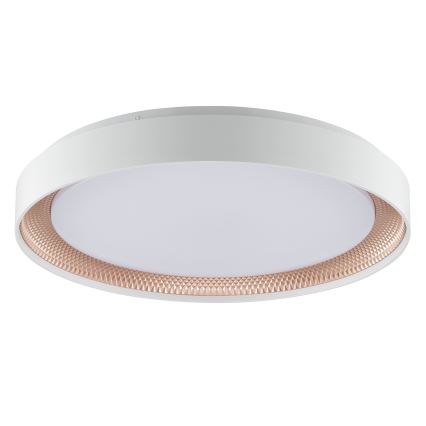 Brilliant - Plafonnier LED dimmable WALDO LED/36W/230V 3000-6500K Ø 48,5 cm blanc/or rose + télécommande