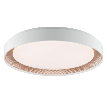 Brilliant - Plafonnier LED dimmable WALDO LED/36W/230V 3000-6500K Ø 48,5 cm blanc/or rose + télécommande
