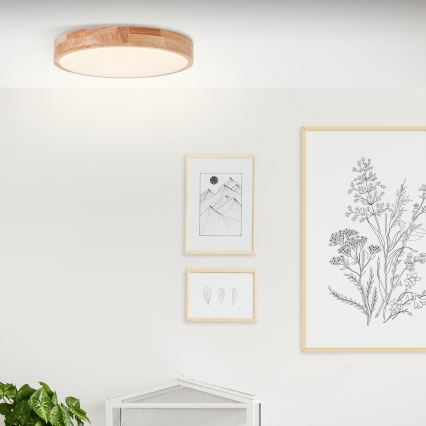 Brilliant - Plafonnier LED SLIMLINE LED/22W/230V Ø 39 cm figuier caoutchouc